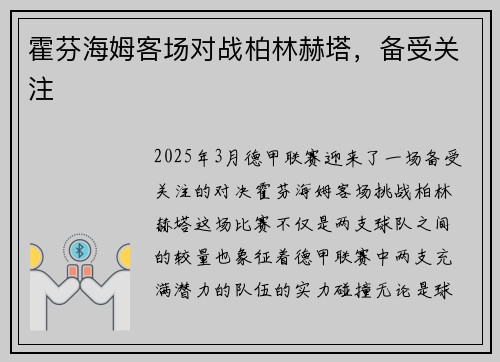 霍芬海姆客场对战柏林赫塔，备受关注
