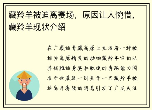 藏羚羊被迫离赛场，原因让人惋惜，藏羚羊现状介绍