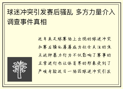 球迷冲突引发赛后骚乱 多方力量介入调查事件真相