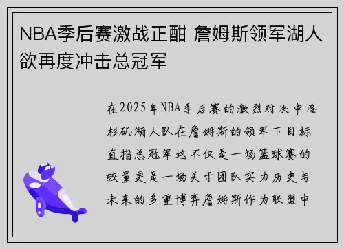 NBA季后赛激战正酣 詹姆斯领军湖人欲再度冲击总冠军