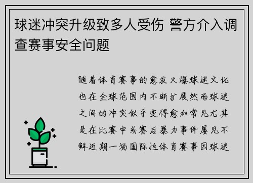 球迷冲突升级致多人受伤 警方介入调查赛事安全问题